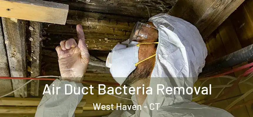  Air Duct Bacteria Removal West Haven - CT