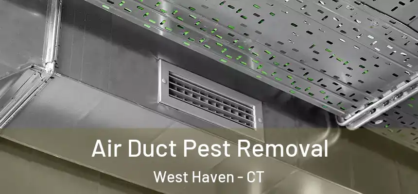  Air Duct Pest Removal West Haven - CT