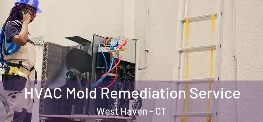  HVAC Mold Remediation Service West Haven - CT