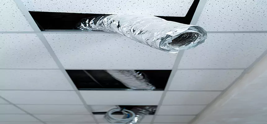 Our Air Duct Pet Hair Removal Services in West Haven, CT