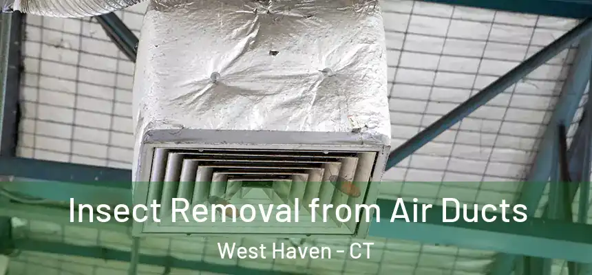 Insect Removal from Air Ducts West Haven - CT