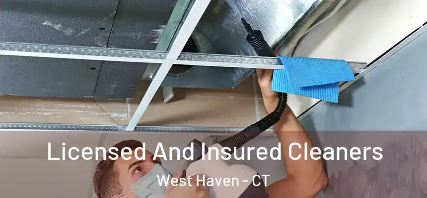  Licensed And Insured Cleaners West Haven - CT
