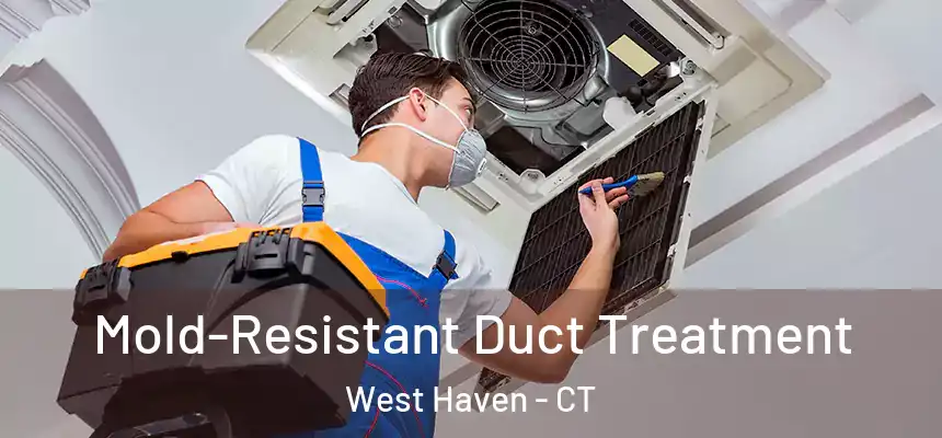  Mold-Resistant Duct Treatment West Haven - CT