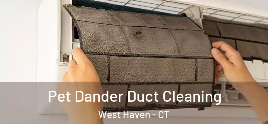  Pet Dander Duct Cleaning West Haven - CT