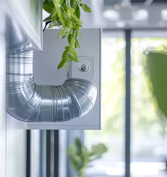 Professional Eco-Safe Dryer Vent Cleaning in West Haven, CT