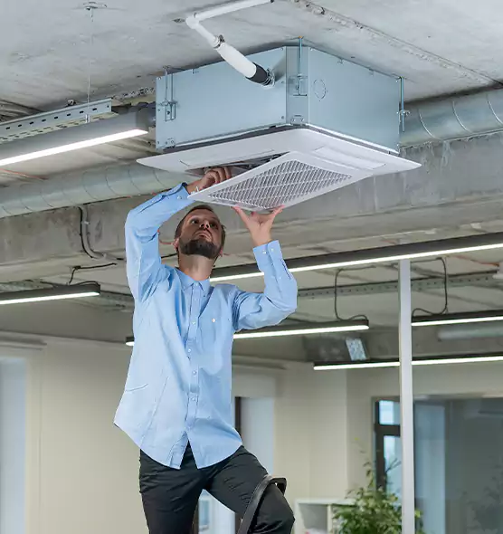 Advanced Rodent Droppings In Vents in West Haven, CT
