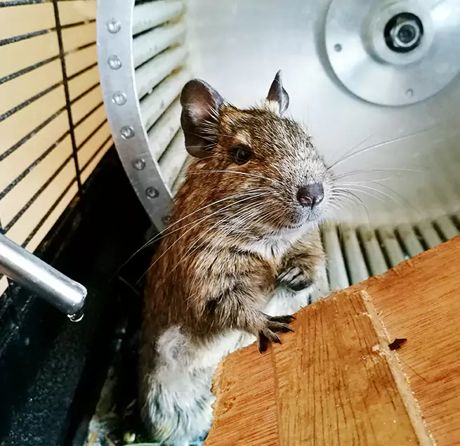 Why Homeowners & Businesses Trust Us West Haven, CT?